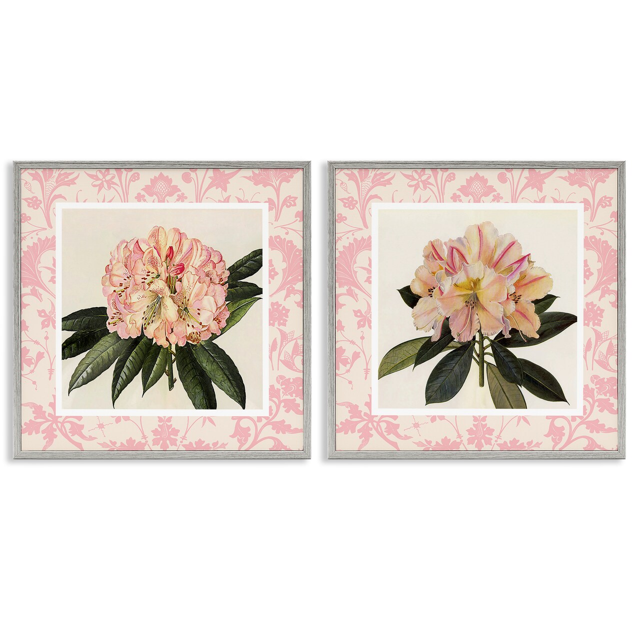 Stupell Industries Pink Vintage Pattern Botanicals 2pc Framed Giclee Set, design by Livi Finn